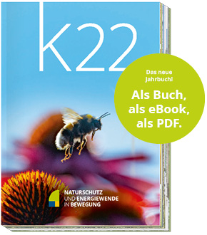 Cover K22