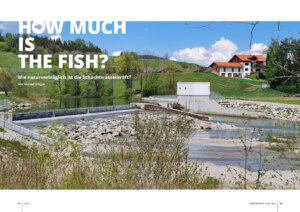 Titel K22 - How much is the fish