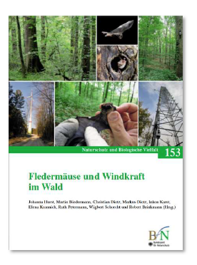 Fledermäuse und Windkraft im Wald