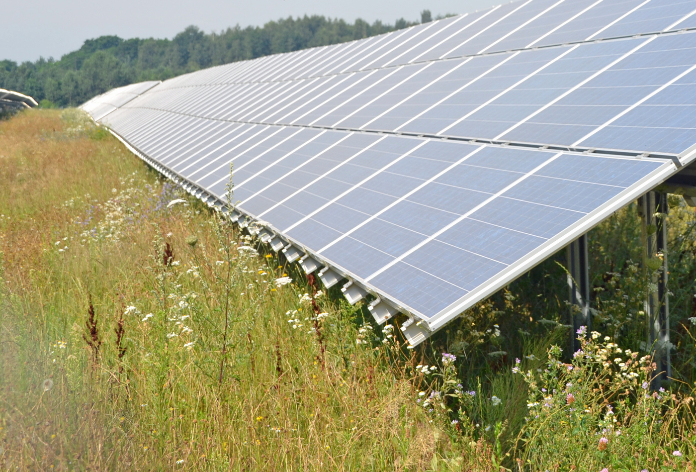 Solarpark mit Wiese