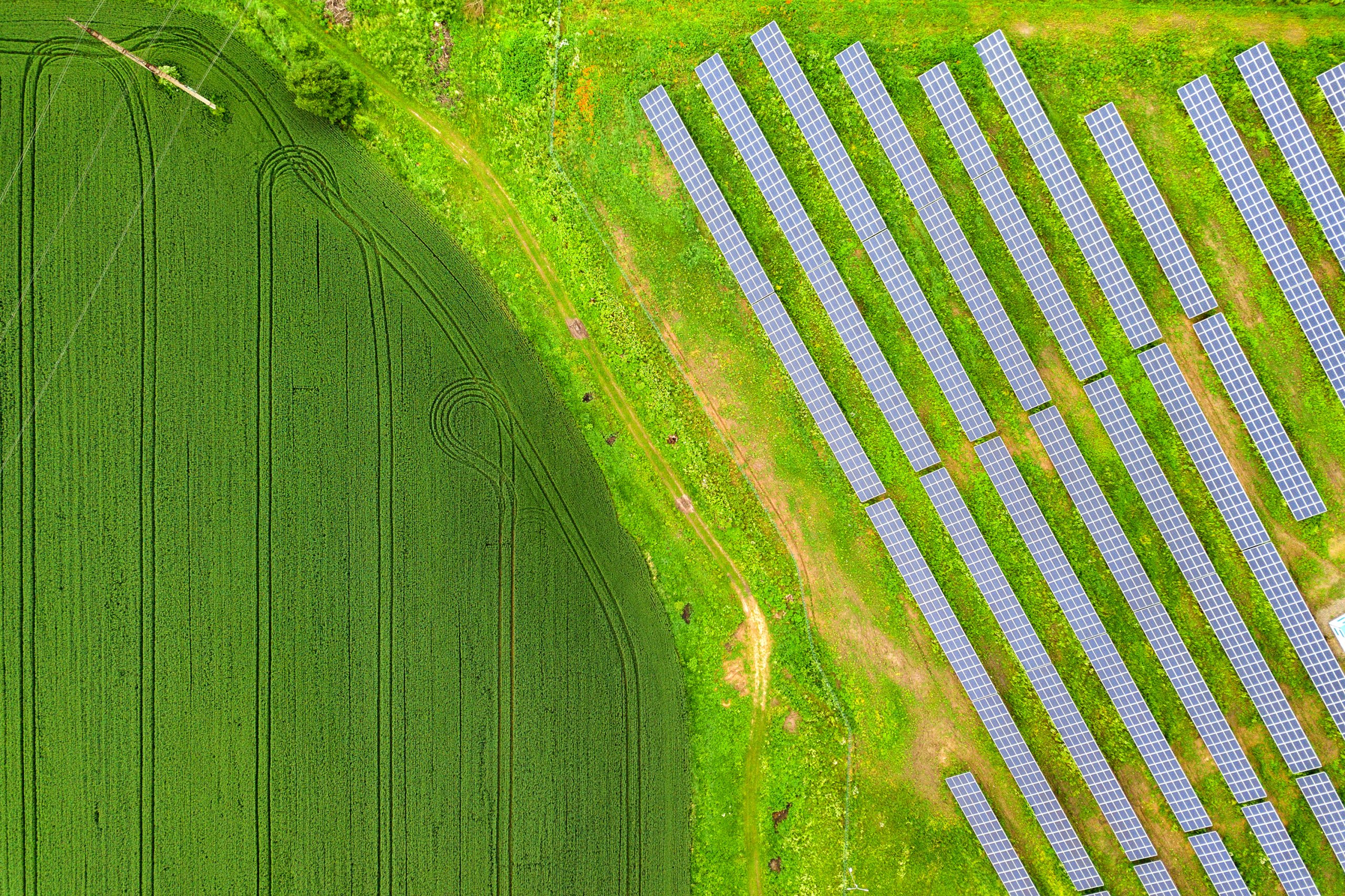 Luftaufnahme Solarpark mit Wiese