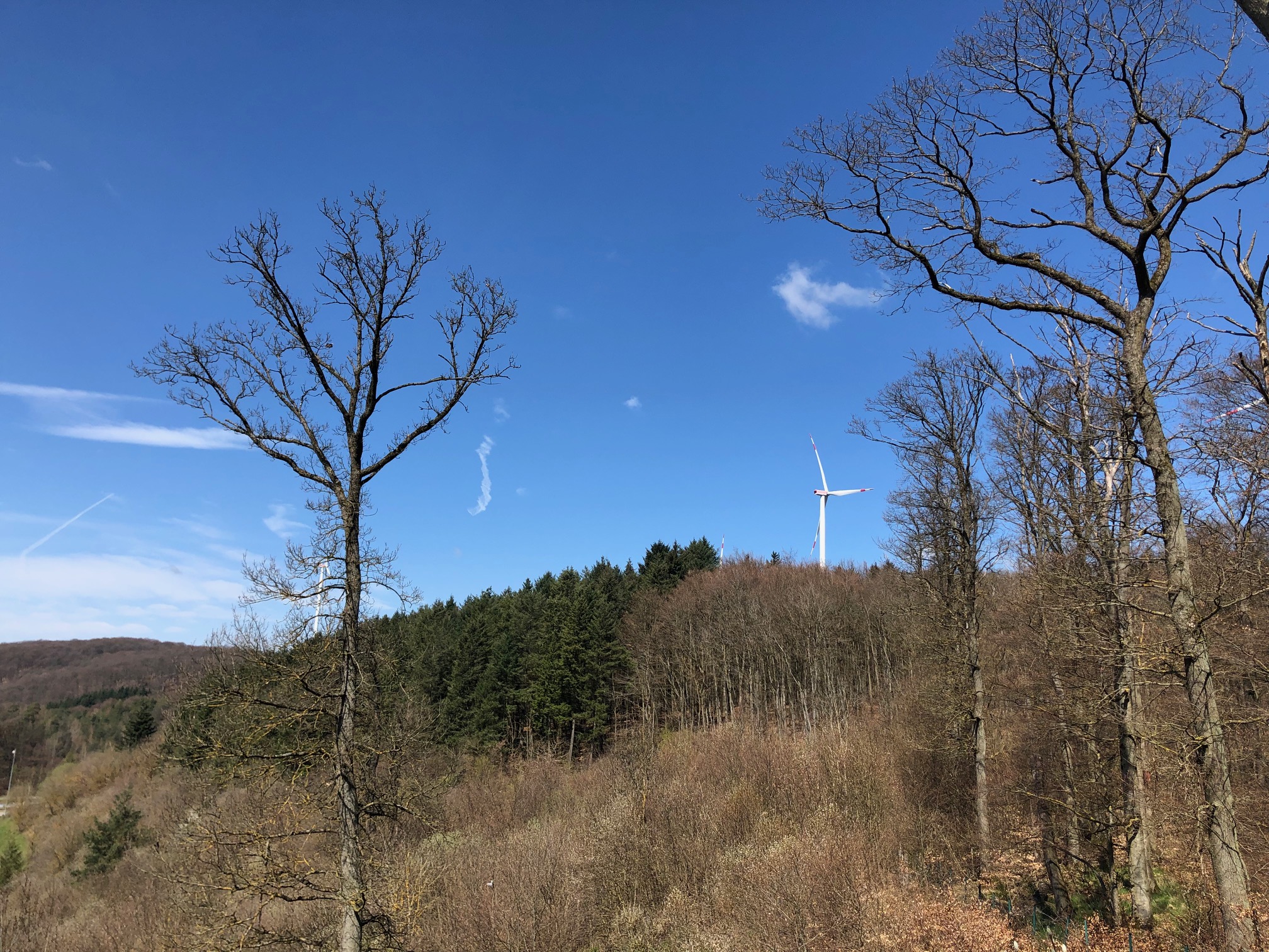 Windenergieanlage im Wald