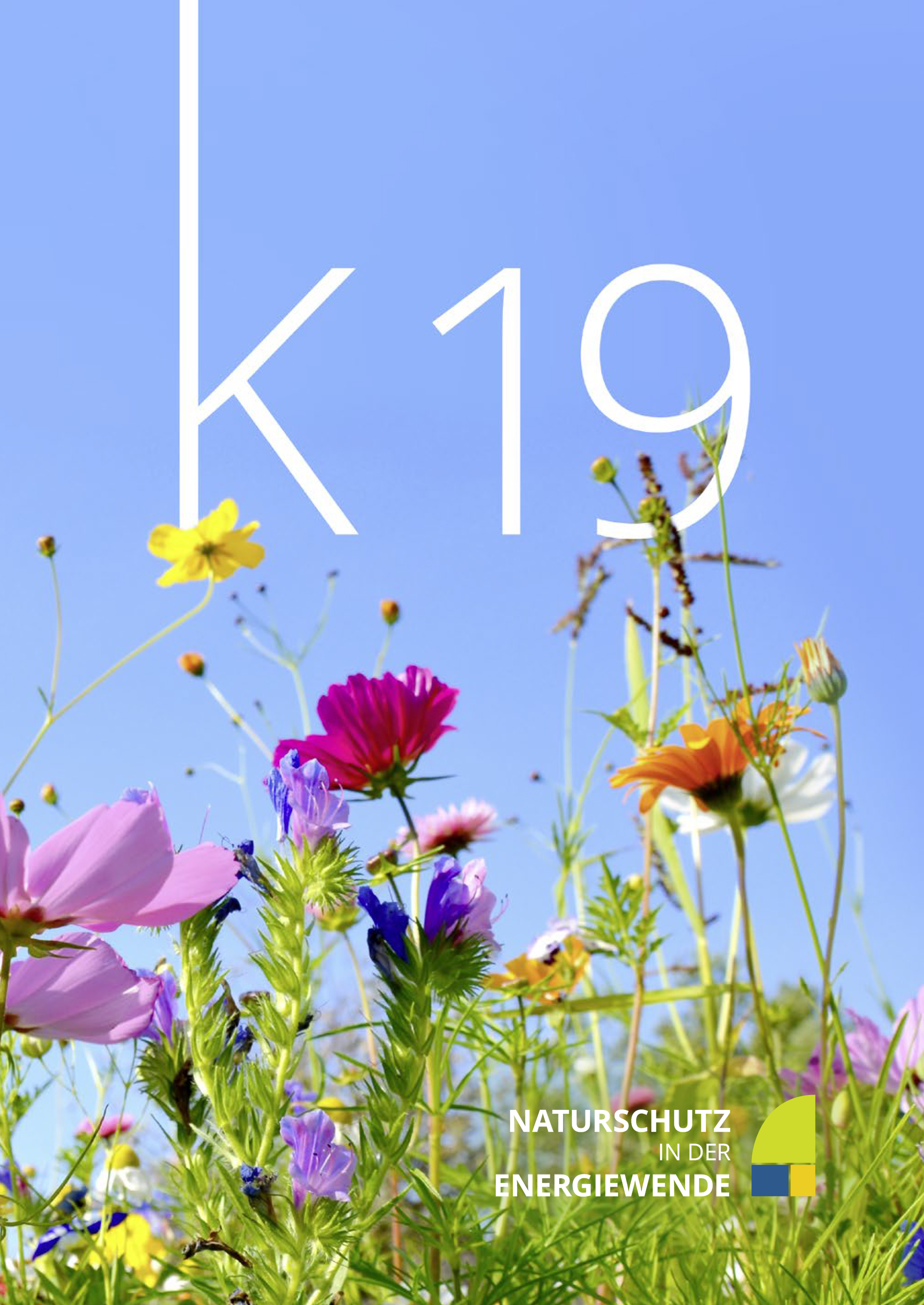 K19-Naturschutz-in-der-Energiewende_Titelseite