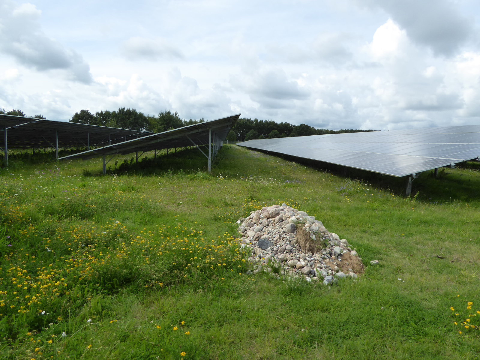 Solarmodule in Landschaft