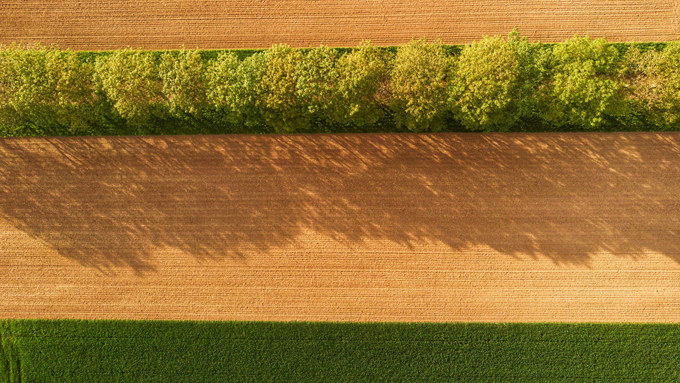 Luftbild Ackerflächen
